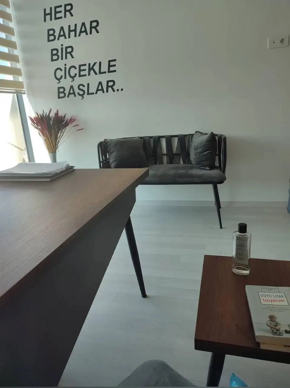 AYŞE AYDEMİR FİZYOTERAPİ ve DUYU BÜTÜNLEME MERKEZİ - Fizik Tedavi ve Rehabilitasyon - Kocaeli - galeri görseli