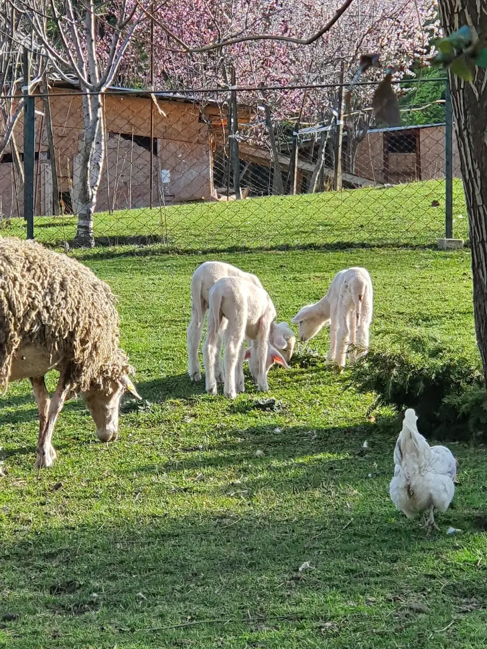 Özel Batı Yıldızı Atakent Anaokulu - Kreş ve Anaokulu - İstanbul
