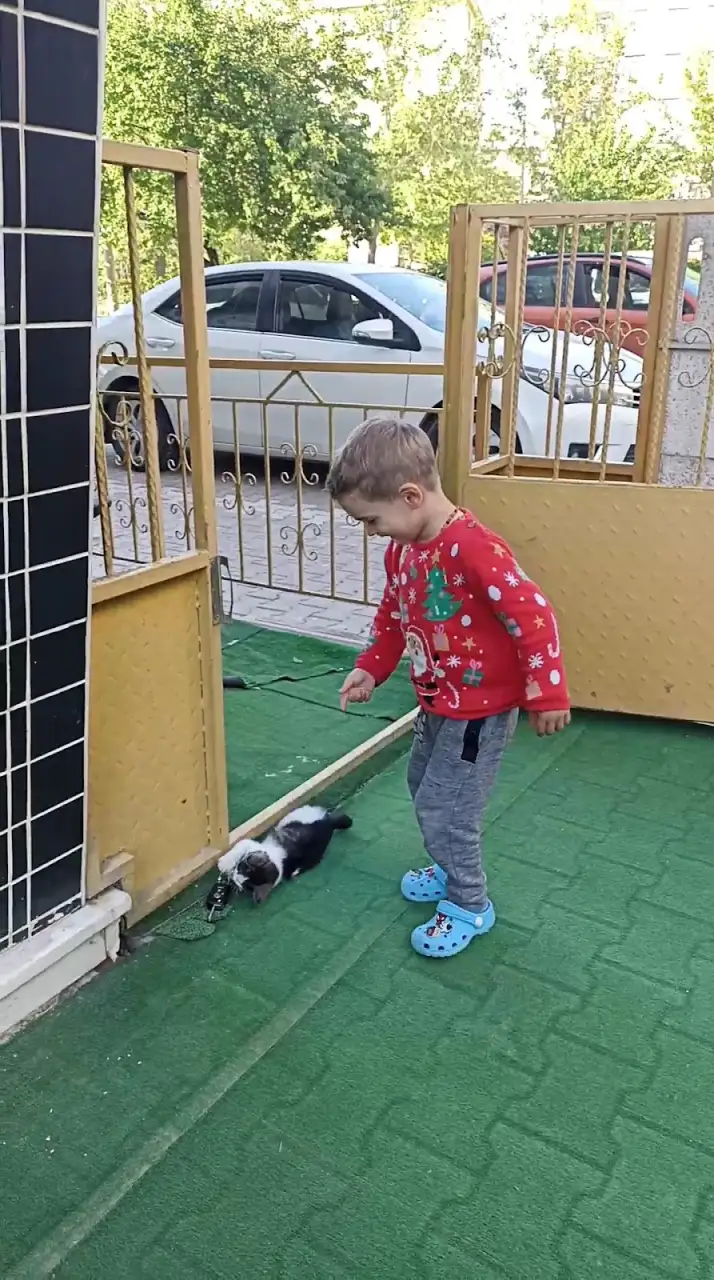Akıllı Minikler Kreş ve Gündüz Bakım Evi 3
