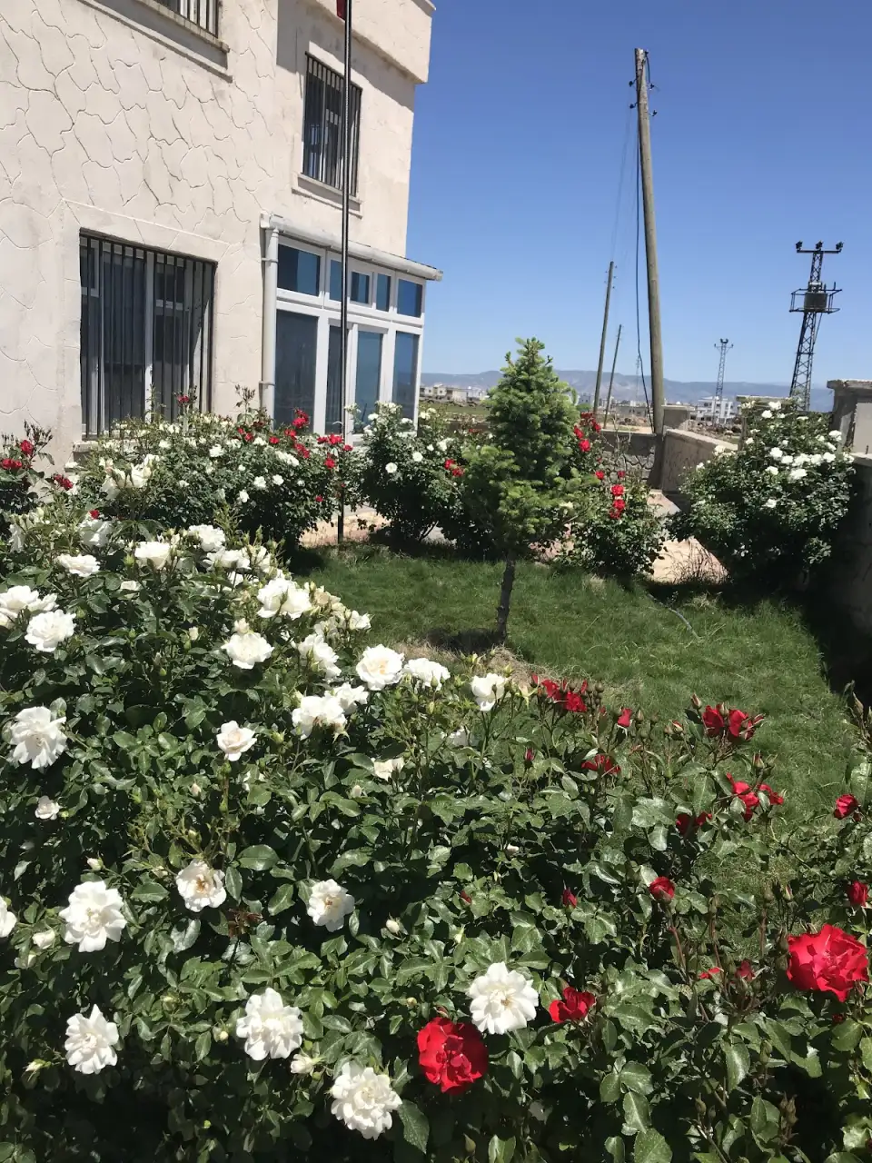 Özel idil ışık özel eğitim ve rehabilitasyon merkezi - Özel Eğitim ve Gelişim Merkezi - Şırnak - galeri görseli