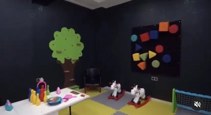 Dora Gelişim Akademisi - Özel Eğitim, Otizm, Ergoterapi, Oyun Terapisi