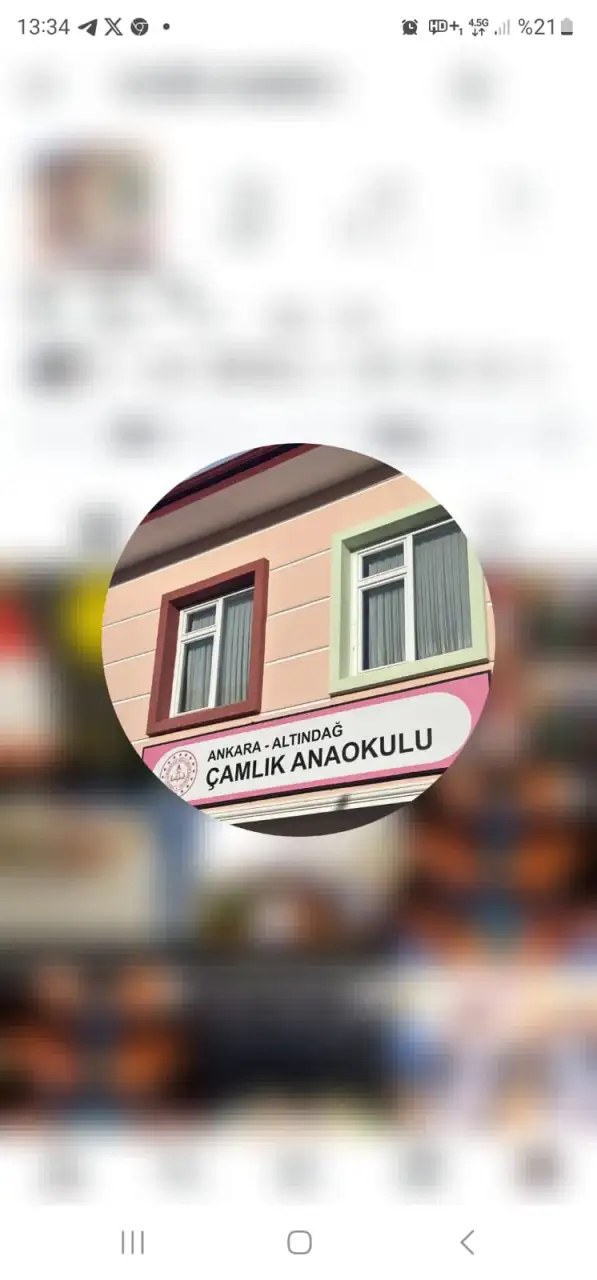 Çamlık Anaokulu - Kreş ve Anaokulu - Ankara - galeri görseli