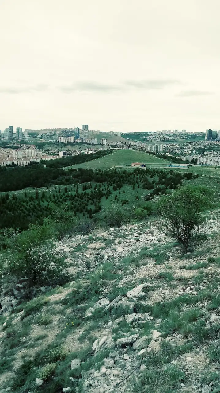 Armoni Anaokulu - Kreş ve Anaokulu - Ankara - galeri görseli