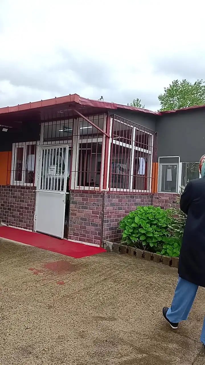 Özel Karadeniz Akasya Özel Eğitim Ve Rehabilitasyon Merkezi - Özel Eğitim ve Gelişim Merkezi - Giresun - galeri görseli