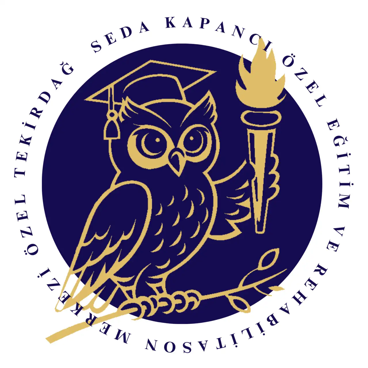 Özel Tekirdağ Seda Kapancı Özel Eğitim ve Rehabilitasyon Merkezi - Özel Eğitim ve Gelişim Merkezi - Tekirdağ - galeri görseli