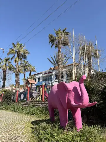 Mutlu Dünyam Anaokulu - Kreş ve Anaokulu - Aydın