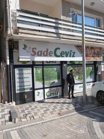 Sade Ceviz Bahçe Kurulumu ve Bakımı - Yaşlı Bakım Evi - Bilecik
