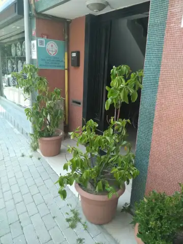 Özel Sağlam Adımlar Rehabilitasyon Merkez - Fizik Tedavi ve Rehabilitasyon - İstanbul