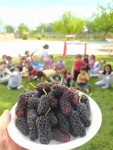 Özel ÖGEM Çocuk Köyü Anaokulu
