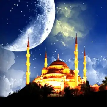 Günışığı Özel Eğitim Ve Rehabilitasyon Merkezi - Özel Eğitim ve Gelişim Merkezi - Ağrı