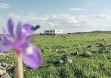 Özel idil ışık özel eğitim ve rehabilitasyon merkezi - Özel Eğitim ve Gelişim Merkezi - Şırnak