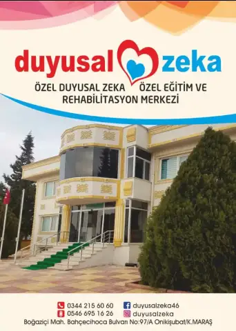 Özel Duyusal Zeka Özel Eğitim ve Rehabilitasyon Merkezi - Nörolojik Rehabilitasyon Merkezi - Kahramanmaraş
