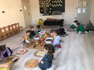 Safranbolu Aylin Kreş Gündüz Bakımevi - Kreş ve Anaokulu - Karabük