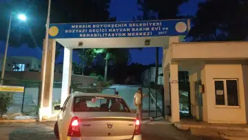 Bozyazı hayvan rehabilitasyon ve geçici bakım evi - Fizik Tedavi ve Rehabilitasyon - Mersin