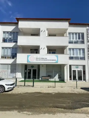 ÖZEL ELİF HANNE ÇİÇEK ÖZEL EĞİTİM VE REHABİLİTASYON MERKEZİ - Özel Eğitim ve Gelişim Merkezi - Bilecik