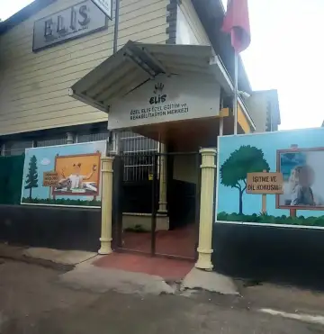 Özel Elis Özel Eğitim Ve Rehabilitasyon Merkezi - Özel Eğitim ve Gelişim Merkezi - Adana