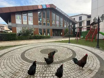 ÖZEL GEBZE ABC ANAOKULU - Kreş ve Anaokulu - Kocaeli
