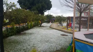 Delfin Anaokulu - Kreş ve Anaokulu - İzmir