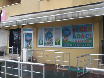 Özel Şeker Ağacı Anaokulu - Kreş ve Anaokulu - İstanbul