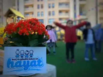 Özel Hayat Kreş ve Anaokulu