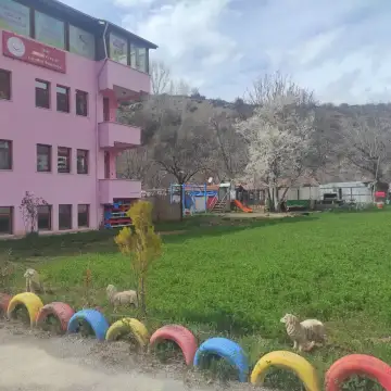 Şirinler Kreş ve Gündüz Bakımevi - Kreş ve Anaokulu - Gümüşhane