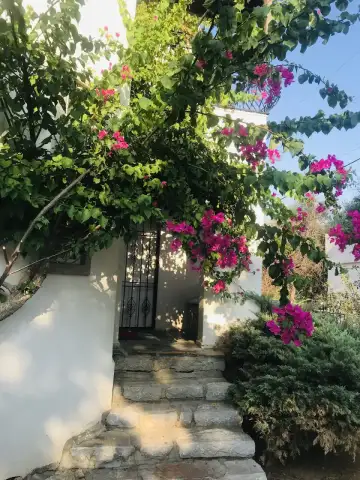 Bodrum Ege Kültür Özel Eğitim Ve Rehabilitasyon Merkezi - Özel Eğitim ve Gelişim Merkezi - Muğla