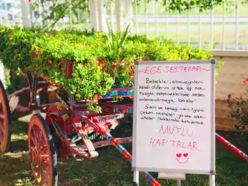 Özel Ege Ses Terapi Özel Eğitim ve Rehabilitasyon Merkezi - Özel Eğitim ve Gelişim Merkezi - İzmir