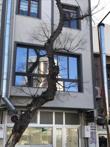 Kutlu Pedagoji Çocuk Gelişim Merkezi