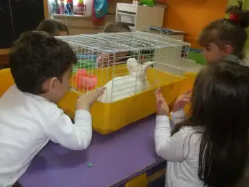 Bursa Özel Kutup Yıldızı YETENEK MERKEZİ - Kreş ve Anaokulu - Bursa