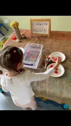 İngiliz Akademi Ana Okulu ve Kreş (2-6 yaş) - Kreş ve Anaokulu - Muş