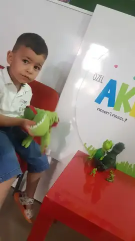 Özel Akıllım Anaokulu