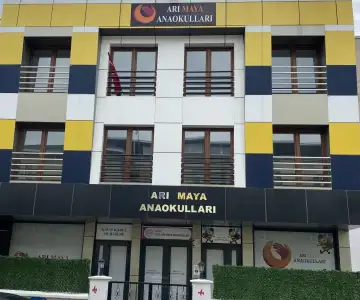 Arı Maya Anaokulları - Kreş ve Anaokulu - Bursa