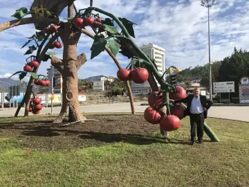 Özel Akdeniz Yıldızları Anaokulu - Kreş ve Anaokulu - Antalya
