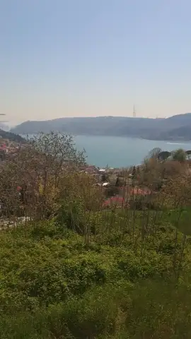 Yesilyolrehab