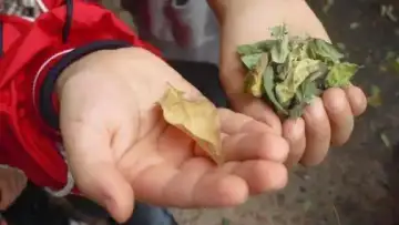 Minik Ellerim Anaokulu - Kreş ve Anaokulu - İstanbul