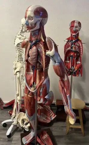Fizyoperformanceacademy - Fizik Tedavi ve Rehabilitasyon - İstanbul