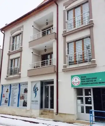 Özel Mavi Çizgi Özel Eğitim Ve Rehabilitasyon Merkezi