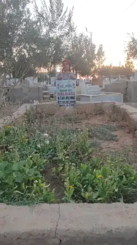 Özel hayat ışığı özel eğitim ve rehabilitasyon merkezi - Nörolojik Rehabilitasyon Merkezi - Mardin
