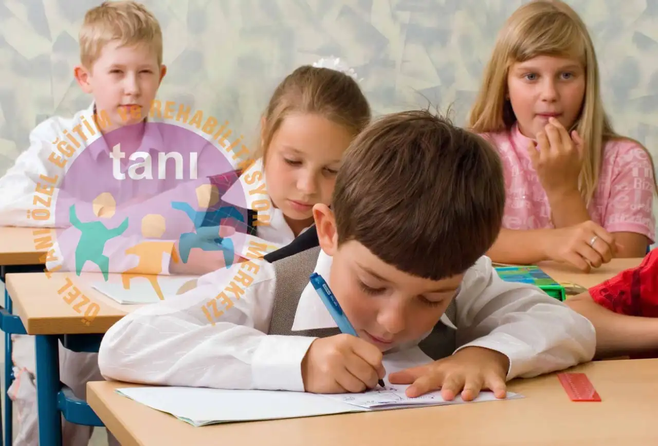 Özel Tanı Özel Eğitim ve Rehabilitasyon Merkezi - Özel Eğitim ve Gelişim Merkezi - İstanbul