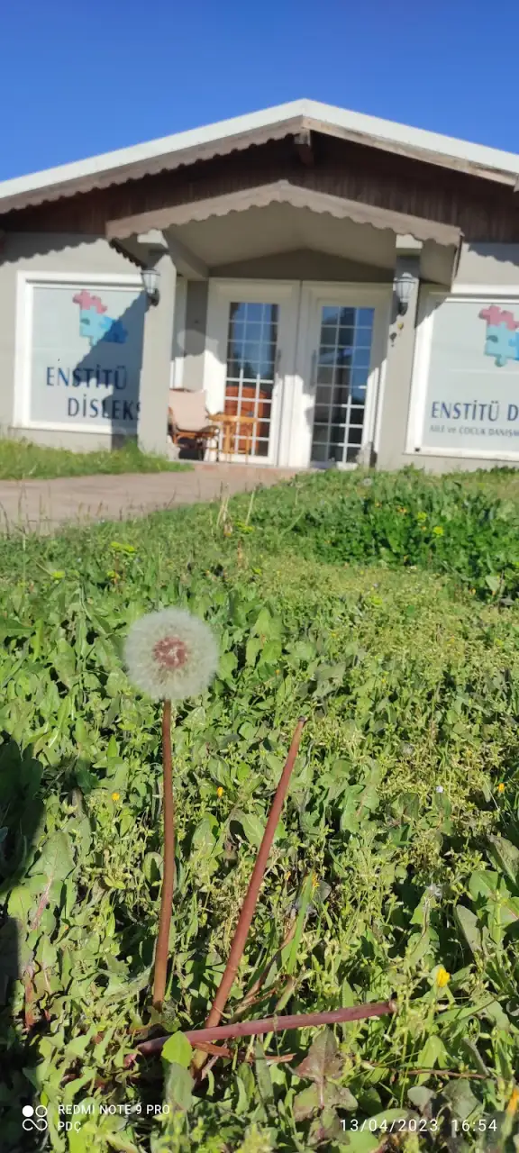 Enstitü Disleksi ve dikkat merkezi - Çocuk Bakım Merkezi - Bursa - galeri görseli