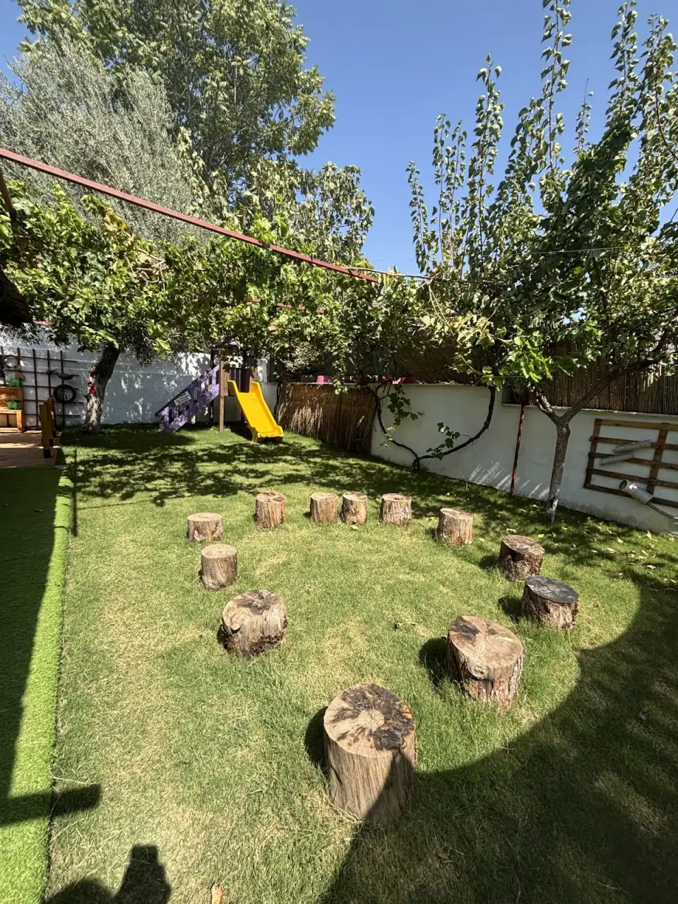 ÖZEL HAYAL DÜNYAM ORMAN ANAOKULU - Kreş ve Anaokulu - Aydın - galeri görseli