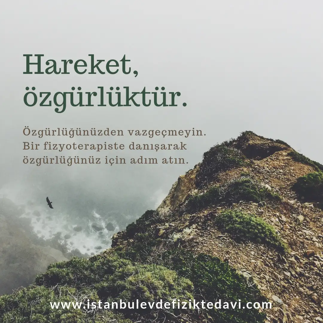 Viafiz Evde Fizik Tedavi ve Medikal Masaj Hizmetleri - Fizik Tedavi ve Rehabilitasyon - İstanbul - galeri görseli