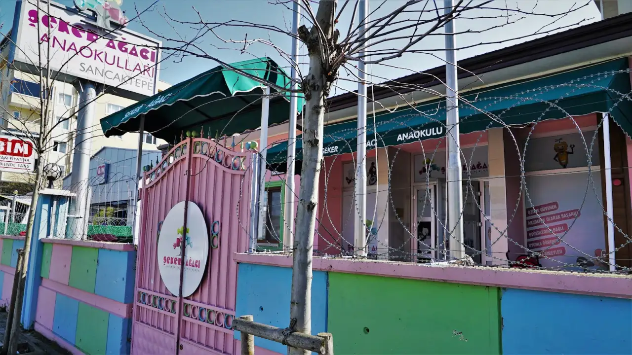 Özel Sancaktepe Şeker Ağacı Anaokulu