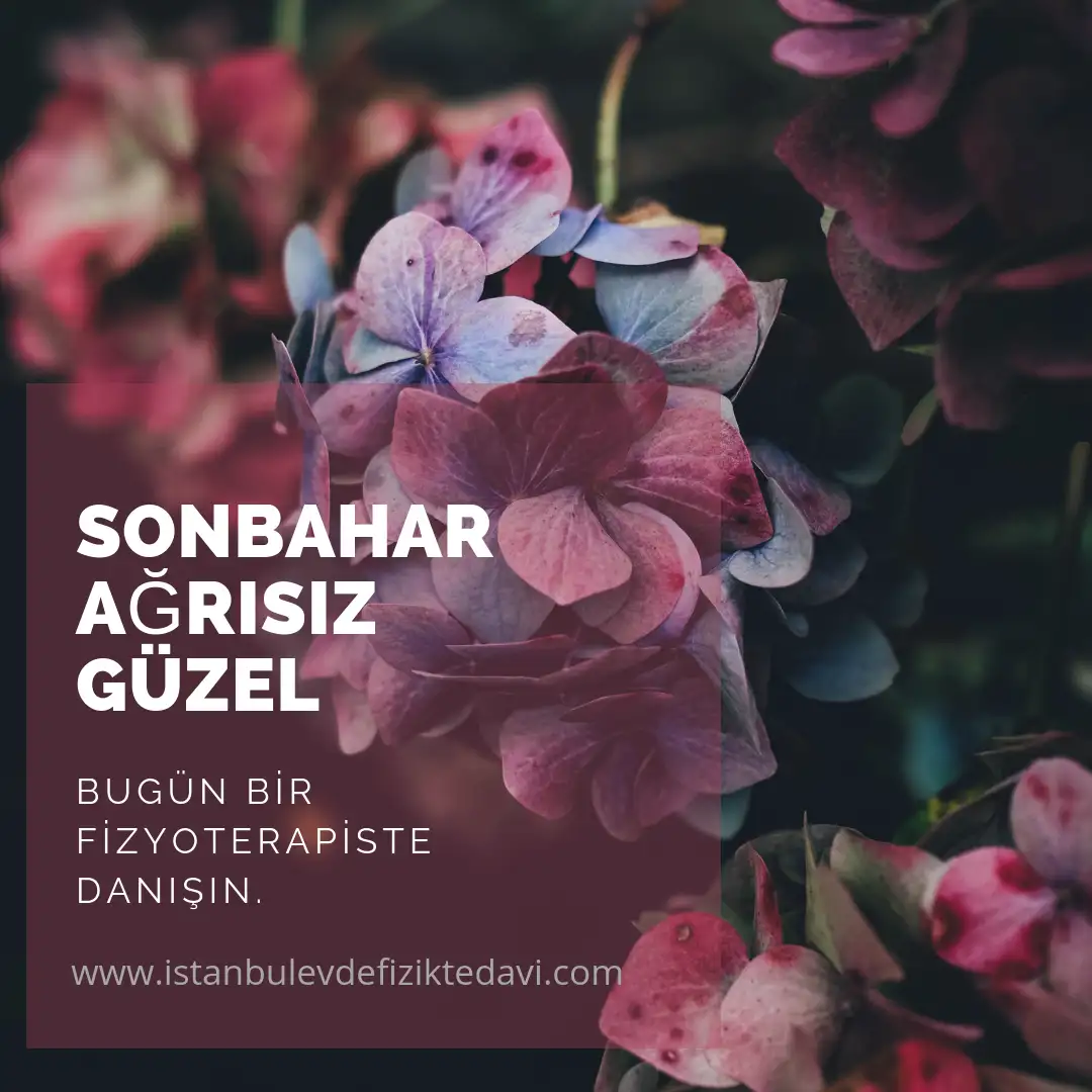 Viafiz Evde Fizik Tedavi ve Medikal Masaj Hizmetleri - Fizik Tedavi ve Rehabilitasyon - İstanbul - galeri görseli