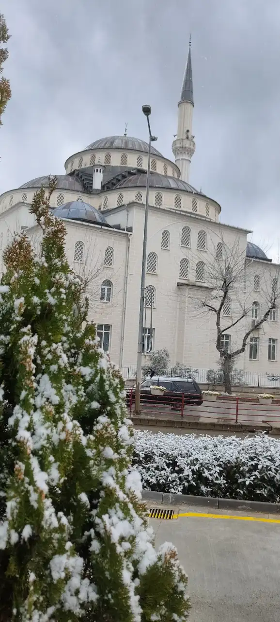 Yalova /Altınova Özel Haydi Gülümse Anaokulu - Kreş ve Anaokulu - Yalova - galeri görseli