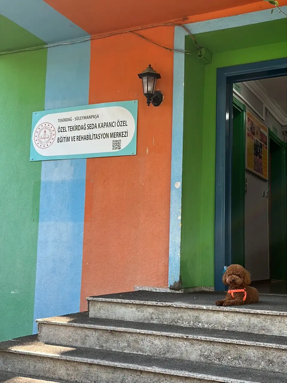 Özel Tekirdağ Seda Kapancı Özel Eğitim ve Rehabilitasyon Merkezi - Özel Eğitim ve Gelişim Merkezi - Tekirdağ - galeri görseli