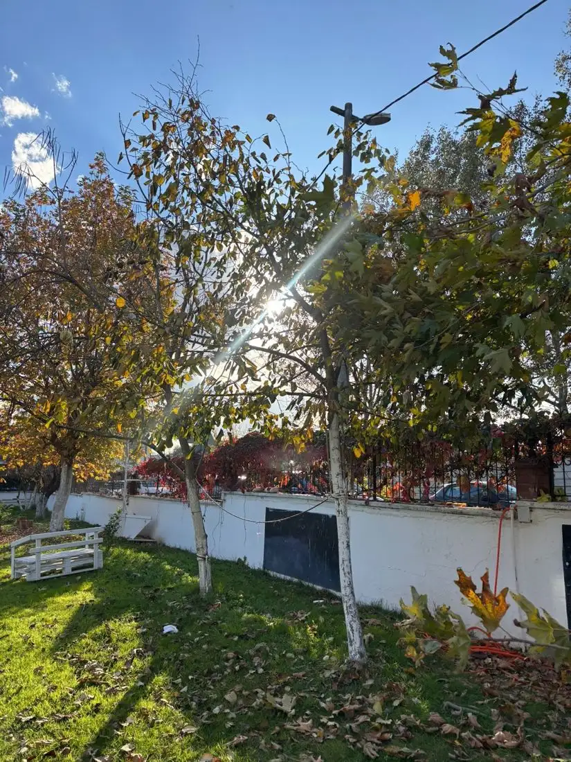 Özel Biliş Anaokulu