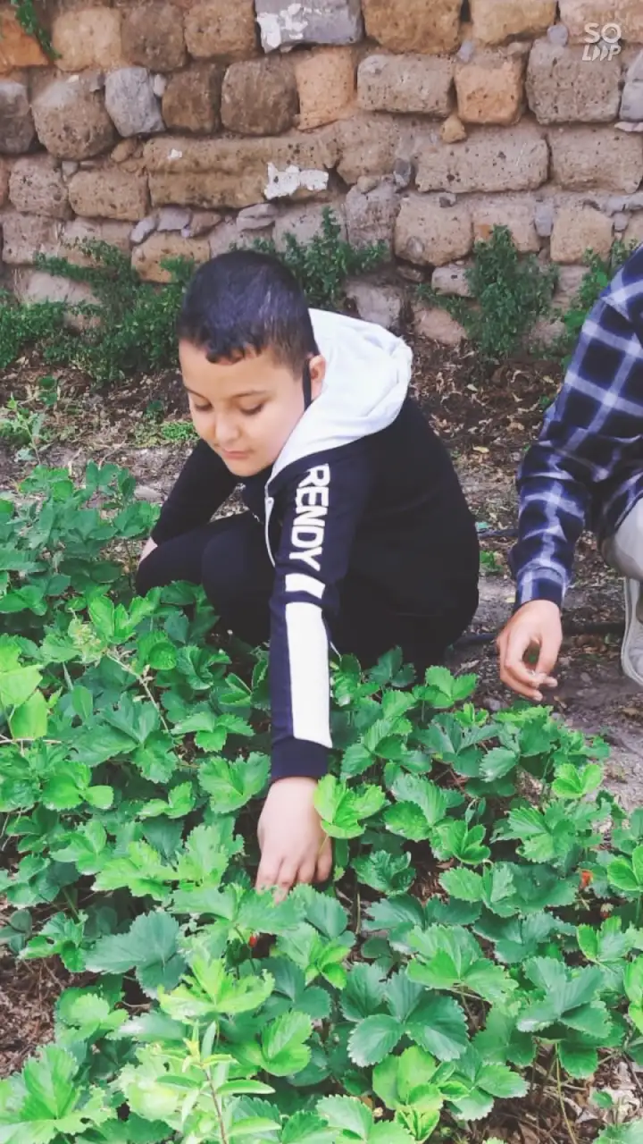 Rukiye KOÇAK Özel Eğitim ve Rehabilitasyon Merkezi - Özel Eğitim ve Gelişim Merkezi - Kayseri - galeri görseli