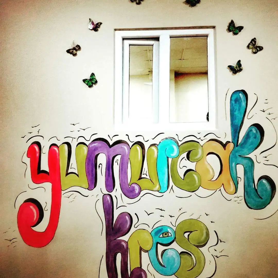 Yumurcak Kreş Ve GüNdüZ BakıMevi - Çocuk Bakım Merkezi - Ağrı - galeri görseli