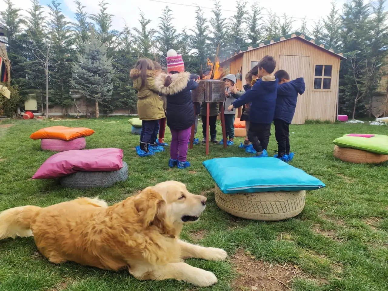 Akıl Küpü Kreş ve Gündüz Bakımevi - Kreş ve Anaokulu - Kayseri - galeri görseli